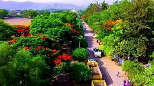 City View